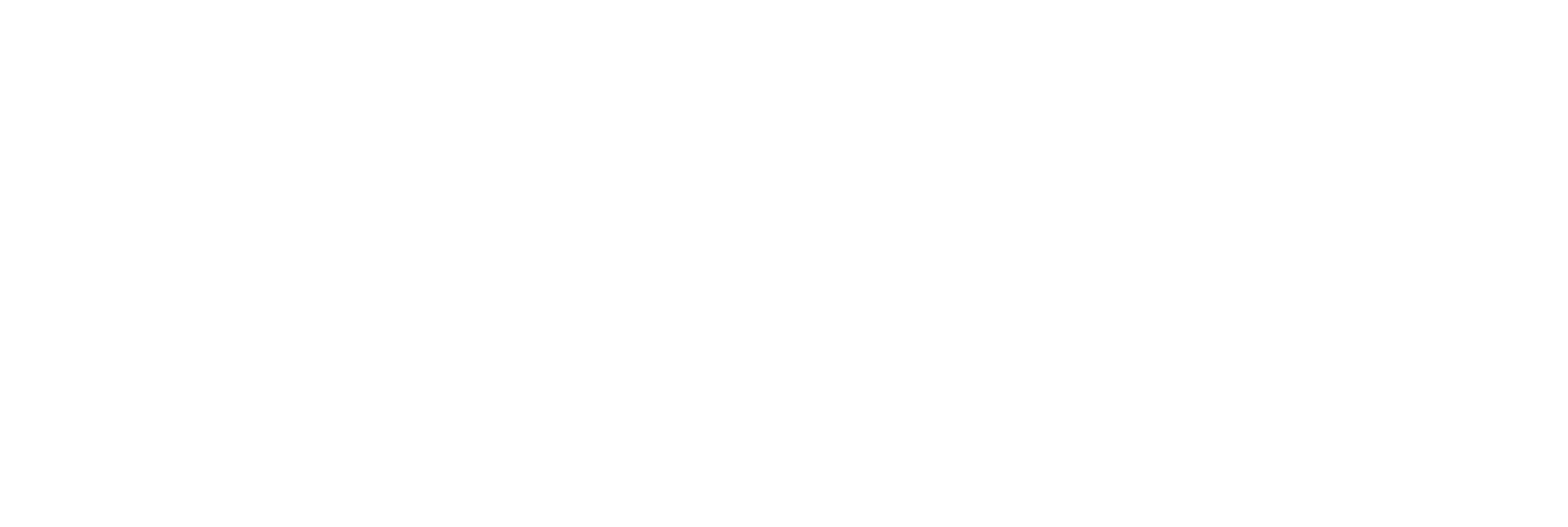 nora-weers-Logo_w
